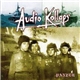 Audio Kollaps - Panzer